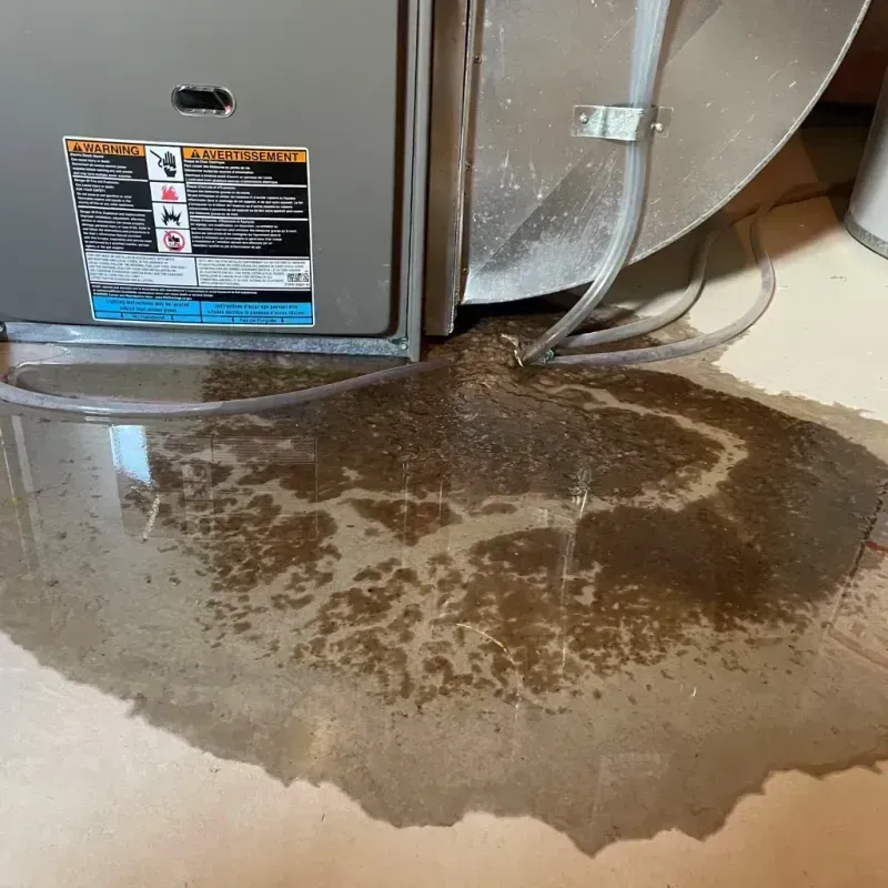 Appliance Leak Cleanup in Kent Acres, DE